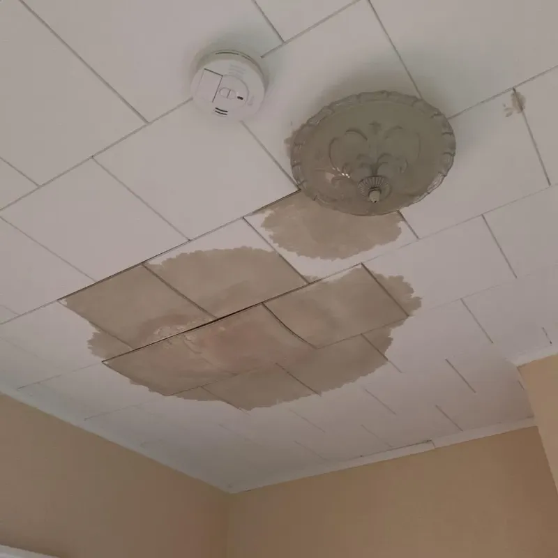 Ceiling Water Damage Repair in Cajahs Mountain, NC